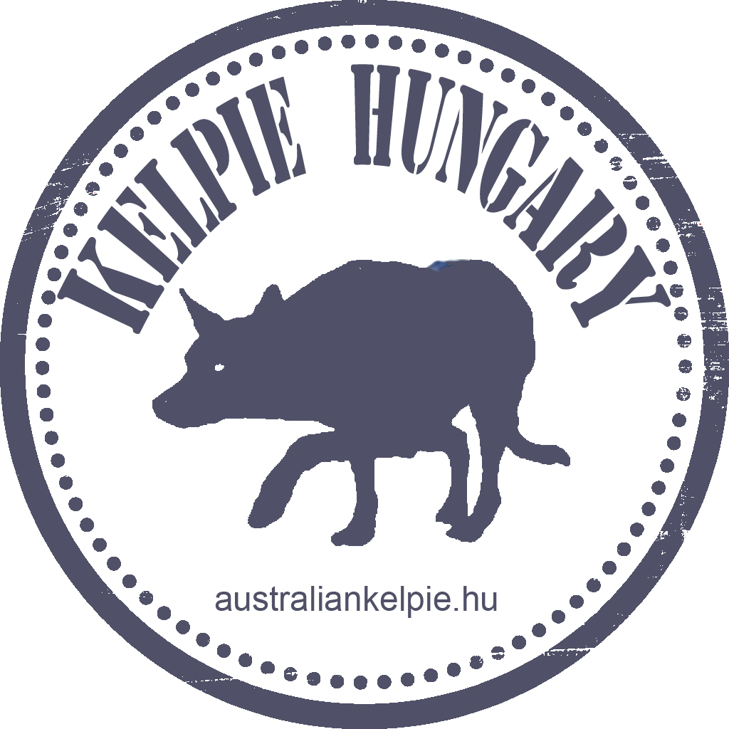 komm-kelpie.jpg